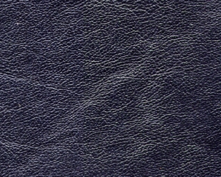 3044128.jpg