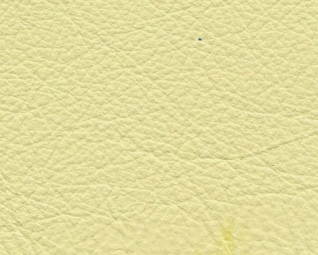 3044134.jpg