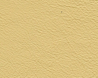 3044135.jpg