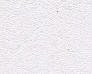 3044136.jpg
