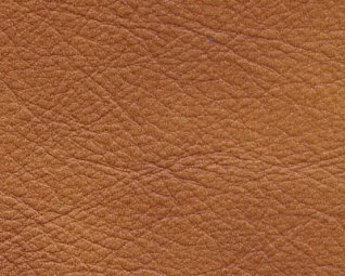 3044143.jpg