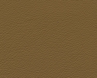 3044158.jpg