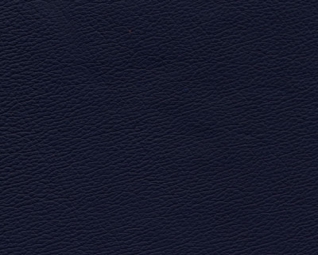 3044161.jpg