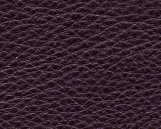 64.jpg